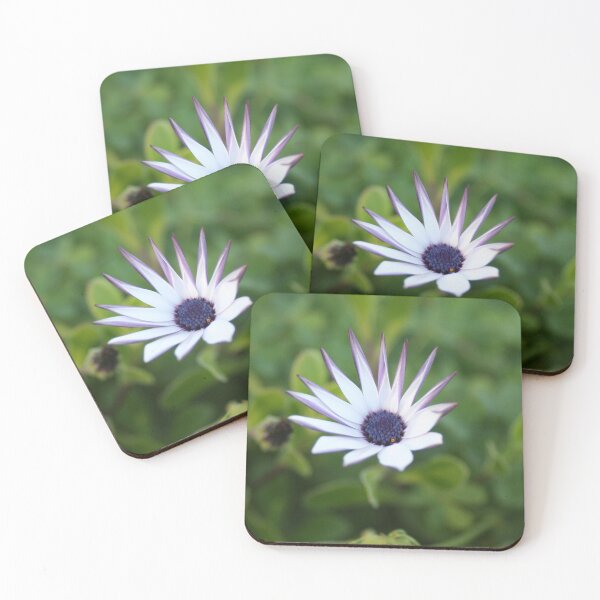 Item preview, Startled African Daisy Flower designed and sold by Anna Lemos.