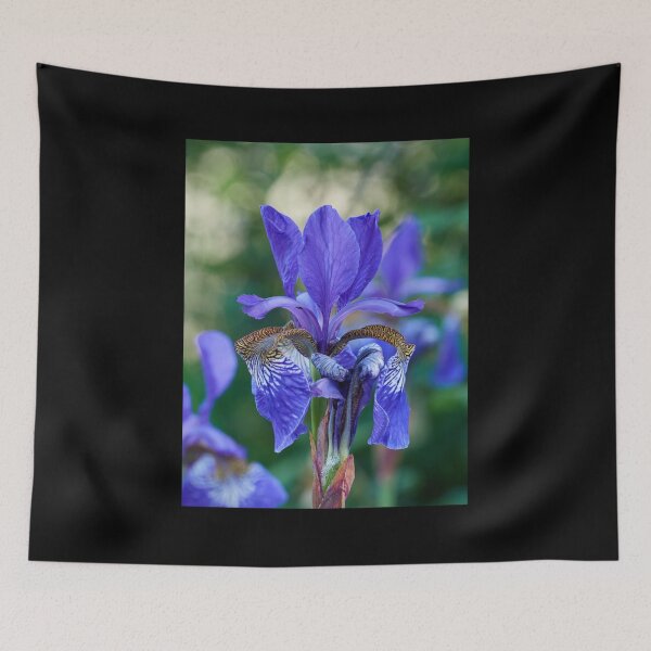 Item preview, Siberian iris 3 designed and sold by Jouko Lehto Photography.
