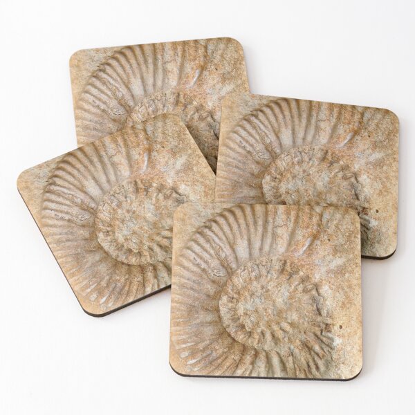 Item preview, Fossil designed and sold by angel1.