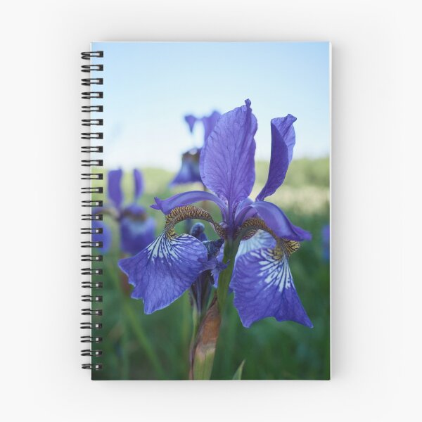 Item preview, Siberian iris 4 designed and sold by Jouko Lehto Photography.