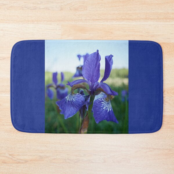 Item preview, Siberian iris 4 designed and sold by Jouko Lehto Photography.