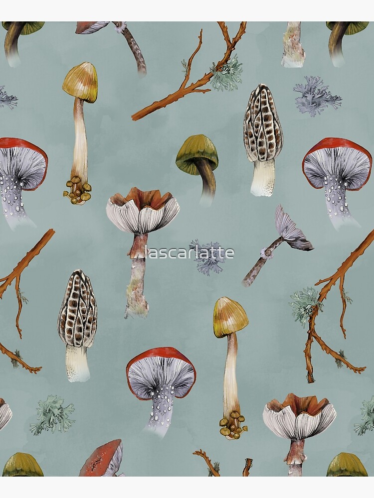Mushroom Forest Collecting Party by lascarlatte