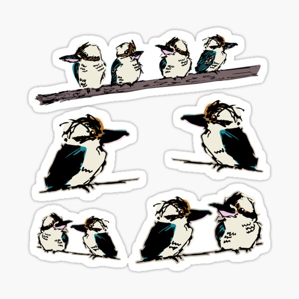 Kookaburra sticker pack CHOOSE MEDIUM, LARGE OR EXTRA LARGE Sticker Sticker
