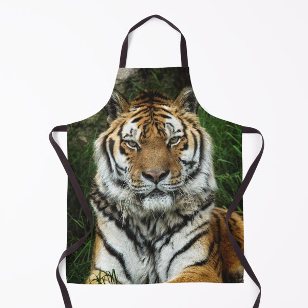 Item preview, Majestic Fixed Tiger Stare designed and sold by rawshutterbug.