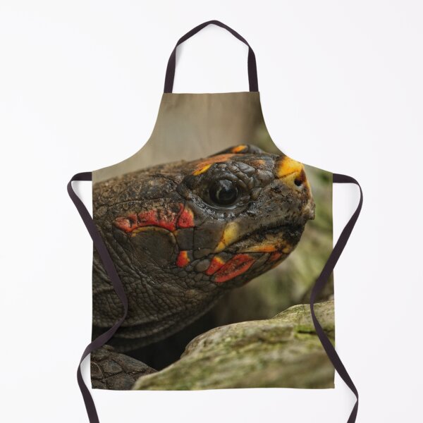Item preview, Red-Footed Tortoise designed and sold by rawshutterbug.