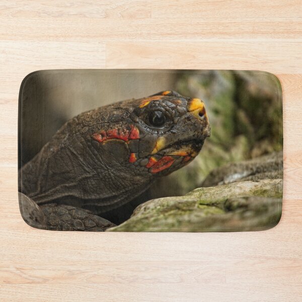 Item preview, Red-Footed Tortoise designed and sold by rawshutterbug.