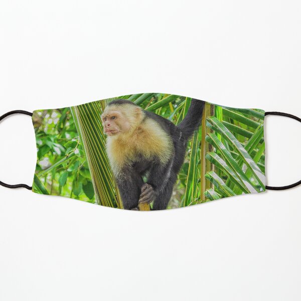 White faced monkey in a tree Kids Mask
