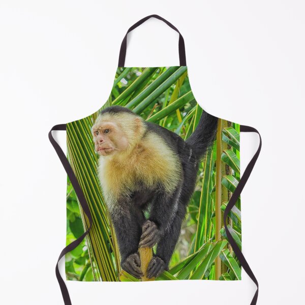 Item preview, White faced monkey in a tree designed and sold by Photopat.