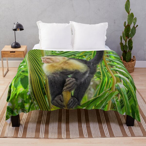 Item preview, White faced monkey in a tree designed and sold by Photopat.