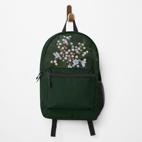 Item preview, Viburnum tinus buds and flowers designed and sold by Anna Lemos.