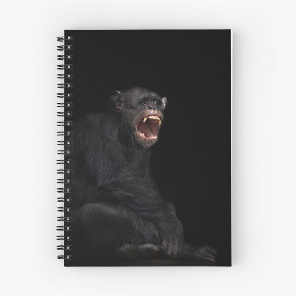 Item preview, Chimpanzee Showing His Teeth designed and sold by rawshutterbug.
