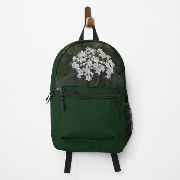 Item preview, Viburnum tinus flowers and buds designed and sold by Anna Lemos.