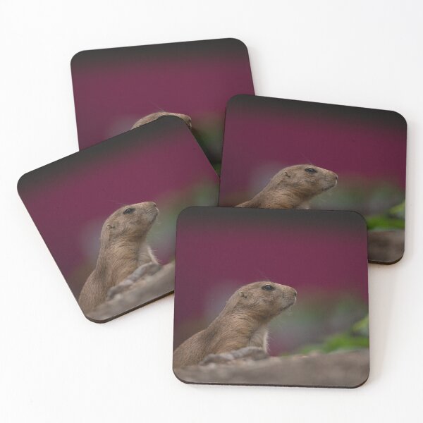 Item preview, Prairie Dog designed and sold by rawshutterbug.