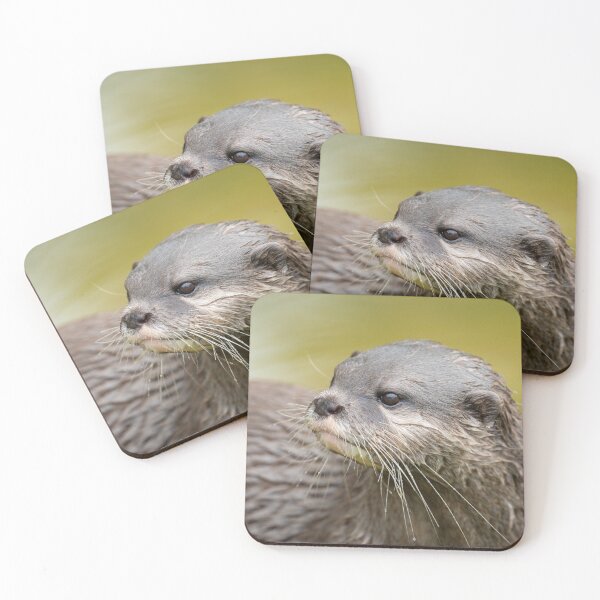 Item preview, Otter Looking Behind Him designed and sold by rawshutterbug.