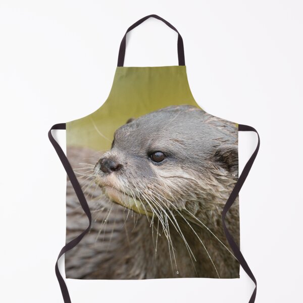 Item preview, Otter Looking Behind Him designed and sold by rawshutterbug.