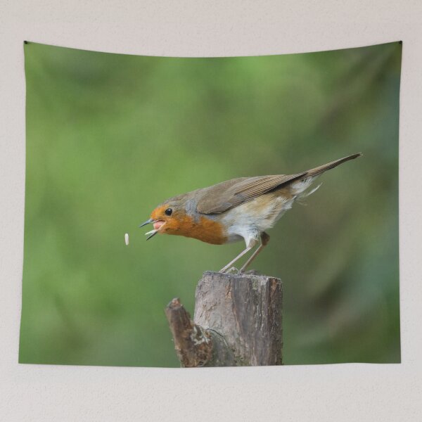 Item preview, Robin In Action Trying To Catch His Food designed and sold by rawshutterbug.