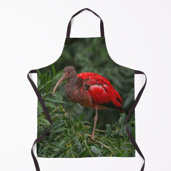 Item preview, Scarlet ibis designed and sold by rawshutterbug.