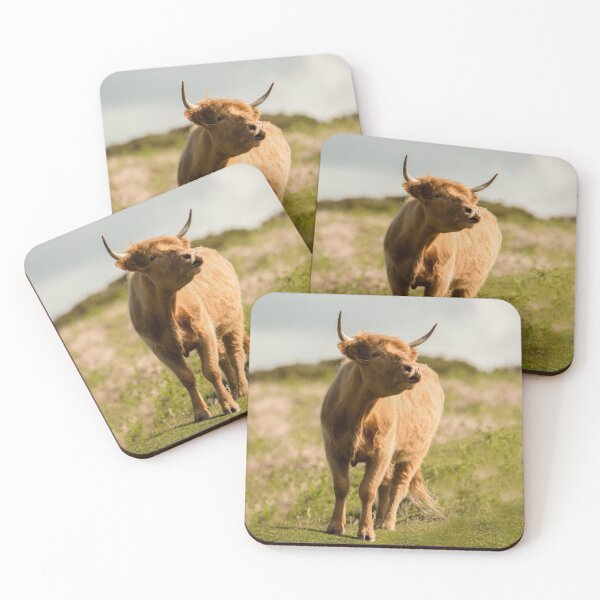 Item preview, Highland Cow designed and sold by rawshutterbug.