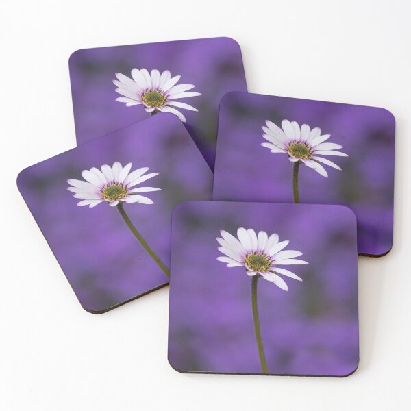 Item preview, African Daisy designed and sold by rawshutterbug.