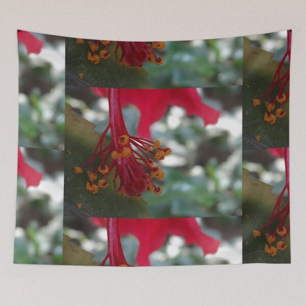 Item preview, Hibiscus 2 designed and sold by RiaanaDCircle.