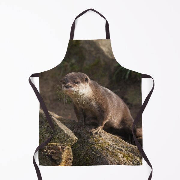 Item preview, Otter On The Look Out designed and sold by rawshutterbug.