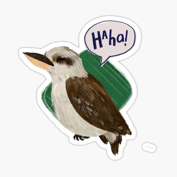 Haha Kookaburra Sticker