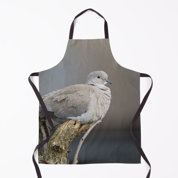 Item preview, Red-Eyed Dove designed and sold by rawshutterbug.