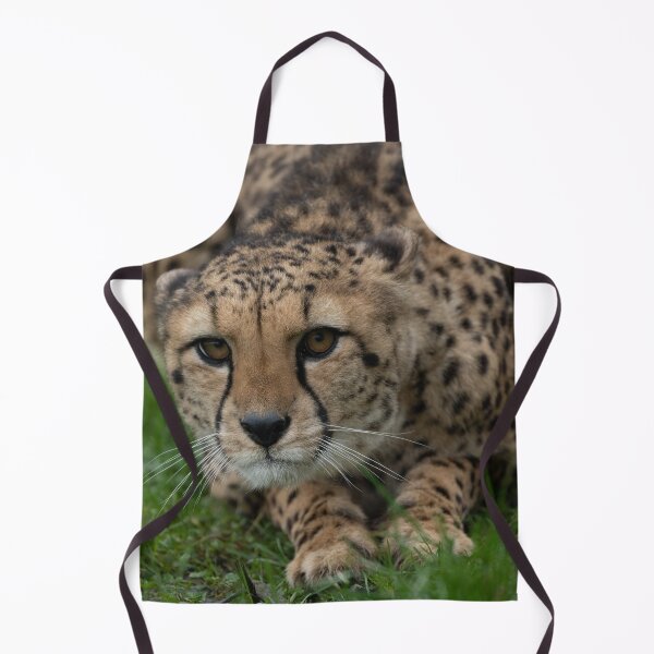 Item preview, Stalking Cheetah designed and sold by rawshutterbug.