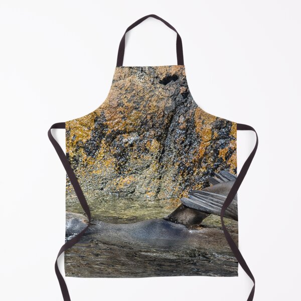 Item preview, Seal on his back designed and sold by Photopat.