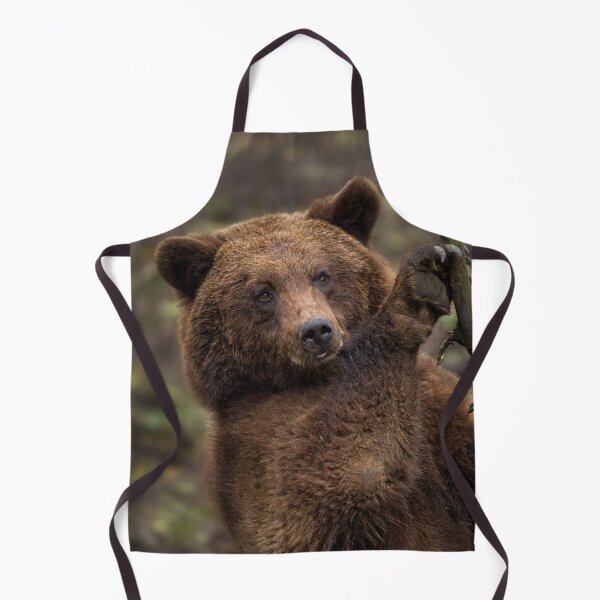 Item preview, Brown Bear All Paws And Claws designed and sold by rawshutterbug.