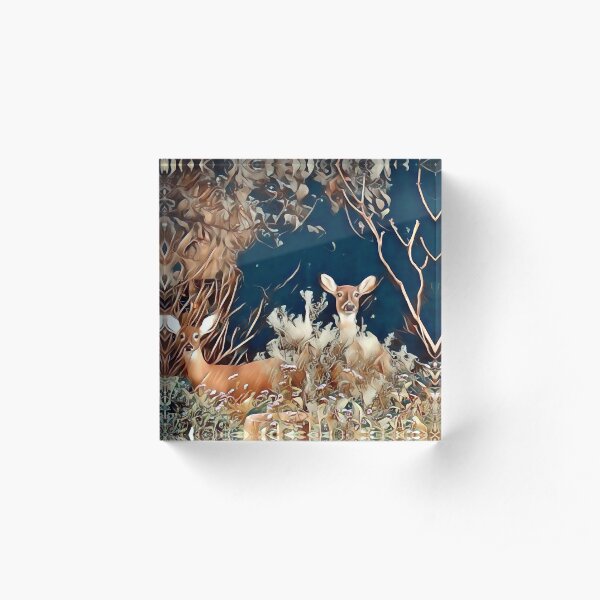 Woodland Friends Acrylic Block