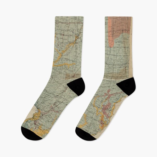 Item preview, Vintage Illinois Geological Map (1917) designed and sold by BravuraMedia.