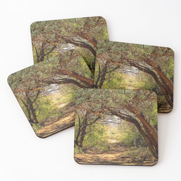 Item preview, Clearing in the woods designed and sold by Photopat.