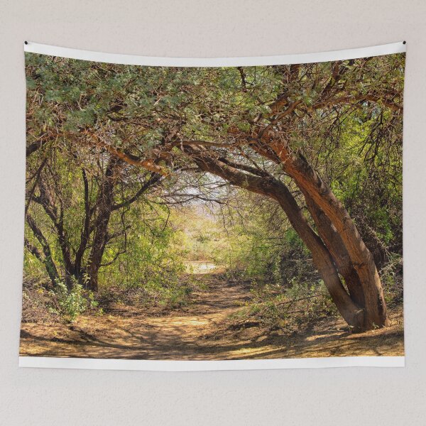 Item preview, Clearing in the woods designed and sold by Photopat.