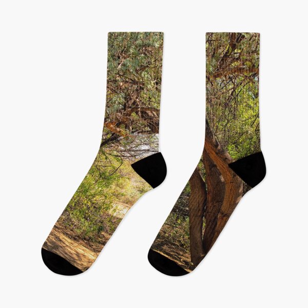 Item preview, Clearing in the woods designed and sold by Photopat.