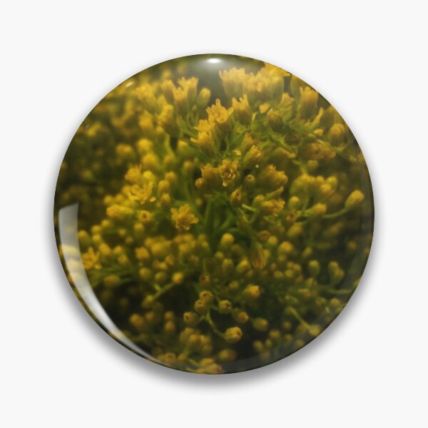 Item preview, Yellow Goldrenrod designed and sold by The Rage Garden.