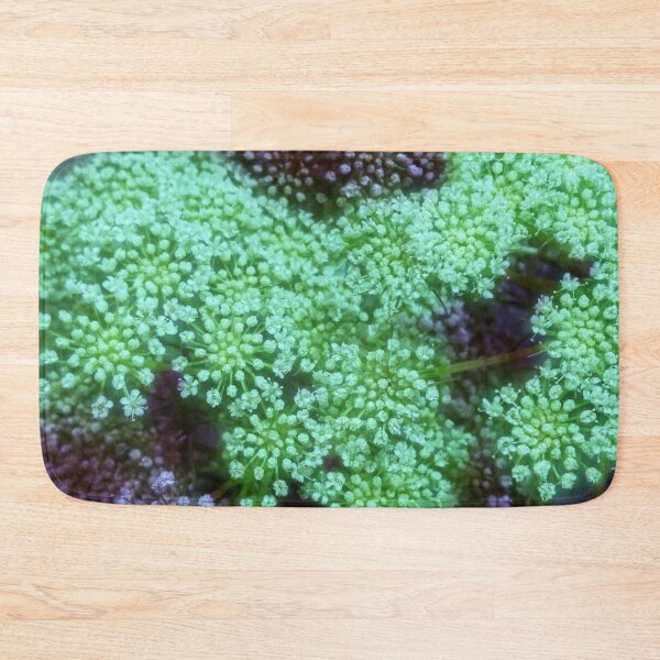 Item preview, Green Queen Annes Lace Landscape designed and sold by The Rage Garden.