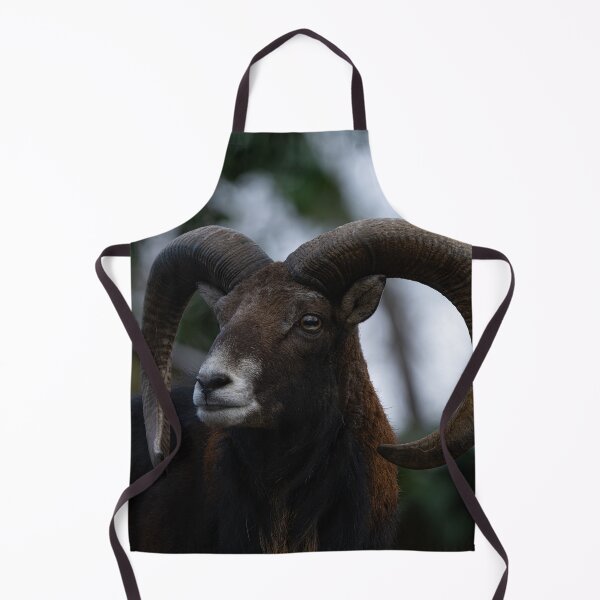 Item preview, Mouflon Ram designed and sold by rawshutterbug.