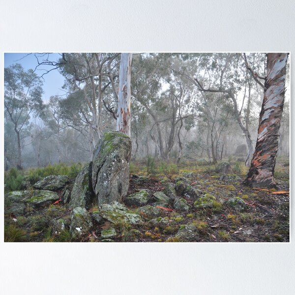 Item preview, One Foggy Morning designed and sold by Terry Everson.