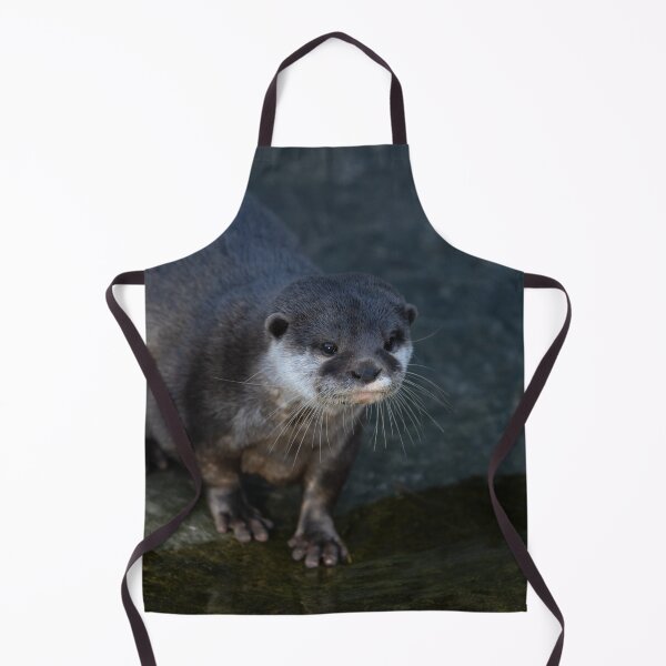 Item preview, Asian Short Clawed Otter designed and sold by rawshutterbug.