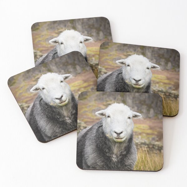 Item preview, Herdwick Sheep Portrait designed and sold by Jane Stanley Photography.