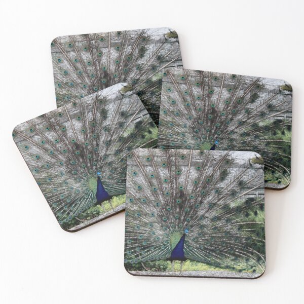Item preview, Inquisitive peacock designed and sold by Lettie Cronje-Steyn.