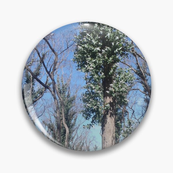 Item preview, Regrowth after fire designed and sold by HaniaAnia.
