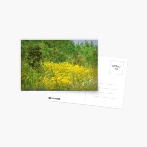 A Field of Yellow Autumn Postcard