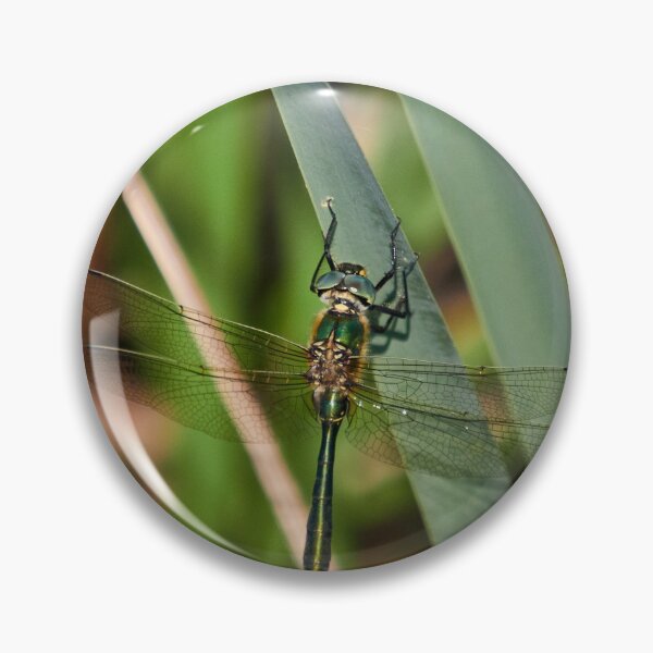 Item preview, Downy emerald designed and sold by Jouko Lehto Photography.