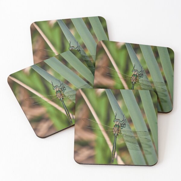 Item preview, Downy emerald designed and sold by Jouko Lehto Photography.