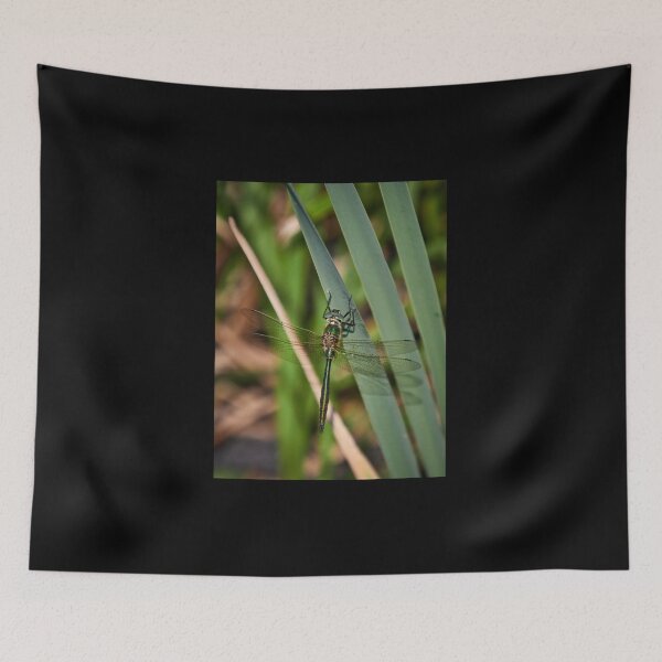 Item preview, Downy emerald designed and sold by Jouko Lehto Photography.