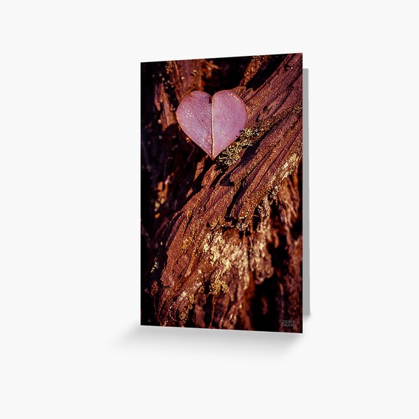 Tree Heart Greeting Card