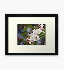 Spring Snowflake Framed Print