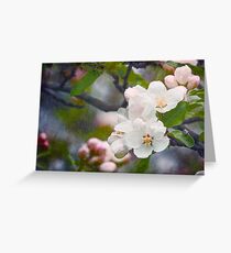 Spring Snowflake Greeting Card